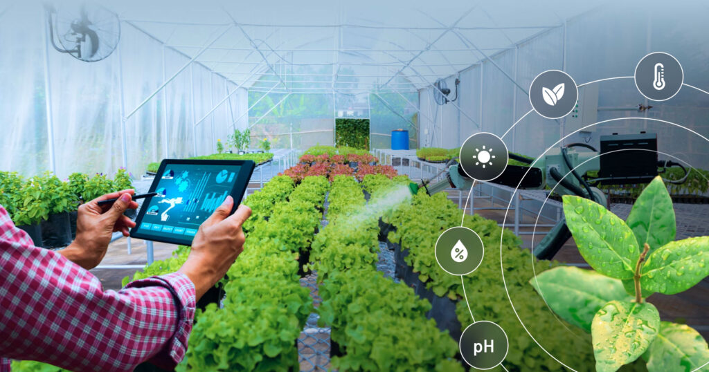 Greenhouse technology of the future, Negev Israel