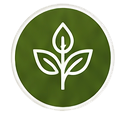 GREEN LEAF