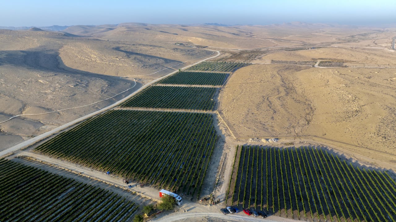 Nana Estate Winery in the Negev, Israel.