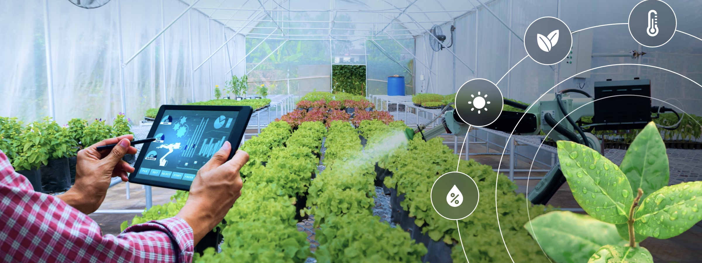 Negev greenhouses of the future
